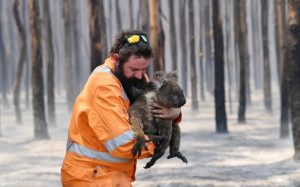 ავსტრალიის ხანძრები