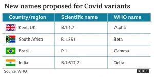 კორონავირუსის შტამები