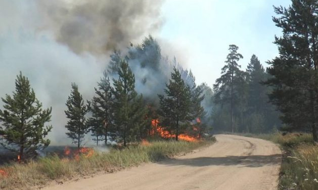 Ðîññèÿ. ×åëÿáèíñêàÿ îáëàñòü. Ëåñíîé ïîæàð â ïîñåëêå Äæàáûê. Îáùàÿ ïëîùàäü ïîæàðîâ â ðåãèîíå âîçðîñëà äî 5 òûñ. ãà. Â òóøåíèè ïðèíèìàþò ó÷àñòèå îêîëî 500 ÷åëîâåê è 115 åäèíèö òåõíèêè, ÷åòûðå ïîæàðíûõ ïîåçäà, òàêæå ïðèâëå÷åíà àâèàöèÿ Ì×Ñ. Ìàêñèìàëüíî âîçìîæíîå êà÷åñòâî. Àëåêñàíäð Áîéêî/ÒÀÑÑ